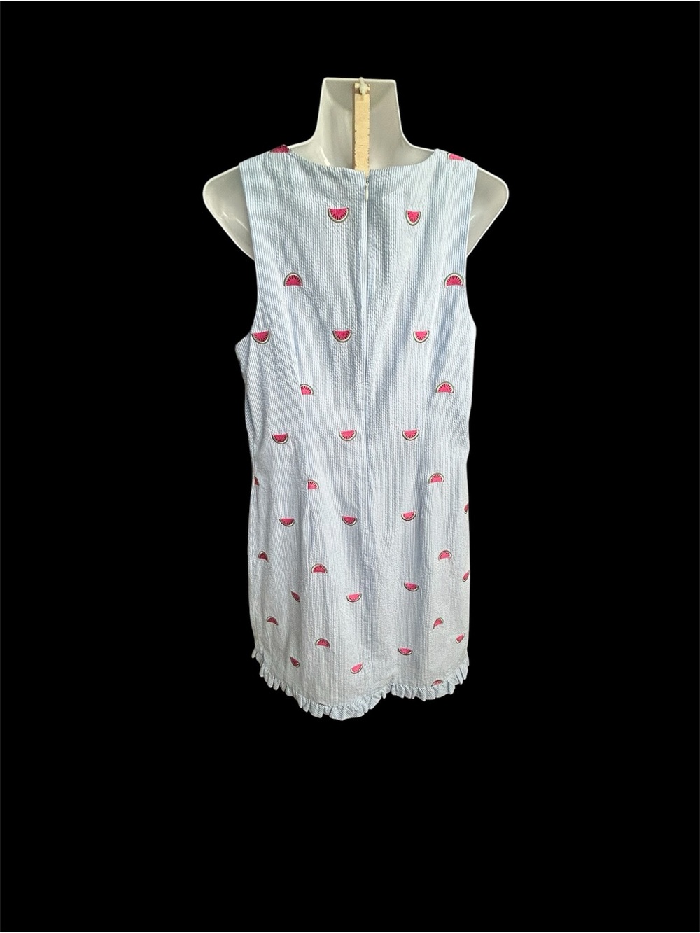 Talbots Light Blue Seersucker Dress with Watermelon Embroidery. Size 10. - Picture 5 of 8